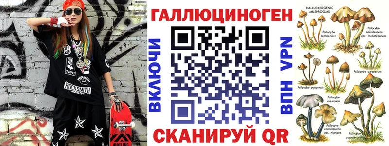 Псилоцибиновые грибы Cubensis  Петровск-Забайкальский 