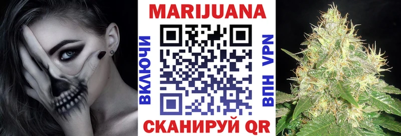 купить наркотик  Петровск-Забайкальский  Бошки марихуана тримм 